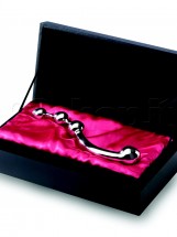 Njoy Fun Wand in Metallo Argento 