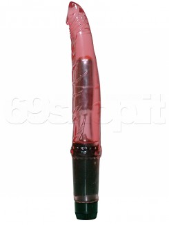 Vibratore Anale Fucsia 
