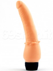 Vibro Anale 