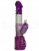 Jumping Rabbit Viola 